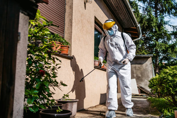 Best Insect Control  in Westover, AL