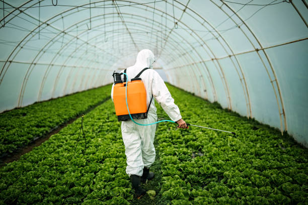 Best Best Pest Control Companies  in Westover, AL