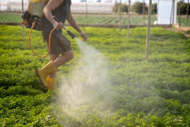 Best Affordable Pest Control Services  in Westover, AL
