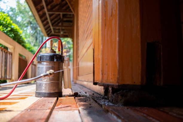 Best Local Pest Control Services  in Westover, AL