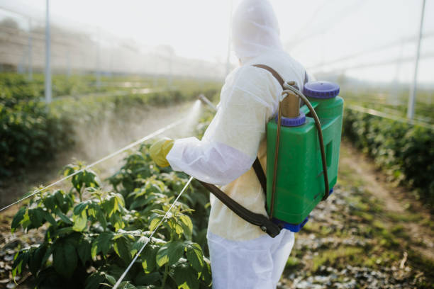 Best Pest Control Near Me  in Westover, AL